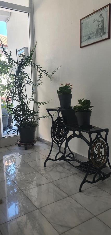 פרבזה City Garden מראה חיצוני תמונה